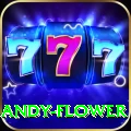 andy flower Deluxe Pro v4.0.4