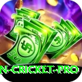 australian cricket - Casino Pro