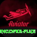 bingopkr Premium Plus v3.2.5