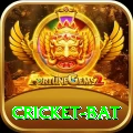 cricket bat Deluxe Pro v5.7.7