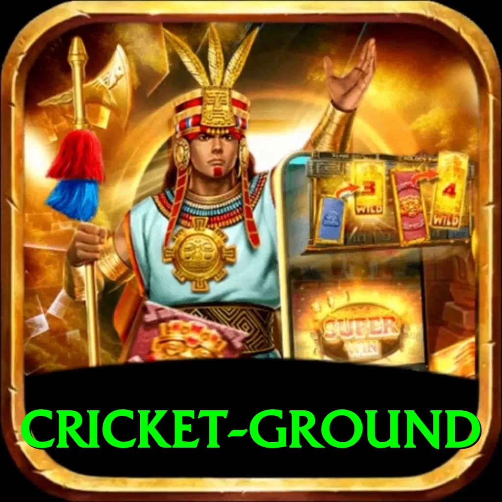 cricket ground Max v3.1.9 - 2
