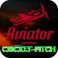 cricket pitch Plus Edition v1.7.7