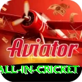 fastest ball in cricket Deluxe Edition v3.7.9