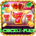 fastest ball in cricket Royal Rewards