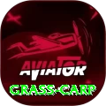 grass carp App