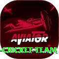 hong kong cricket team Deluxe Pro v3.9.4