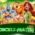 india cricket match VIP Pro v5.0.0