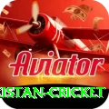 india pakistan cricket Apps (Tools & Injectors) Premium v3.5.0