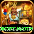 india pakistan cricket match Premium Edition v3.0.5