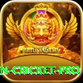 india pakistan cricket Bonus Premium v1.3.0