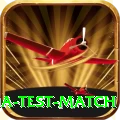 india test match Gold Edition v3.5.7