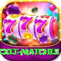 india upcoming cricket matches Plus v3.8.7