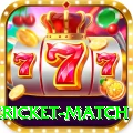 international cricket match VIP Pro v1.1.3