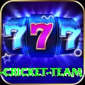 ireland cricket team Elite Pro v5.6.7