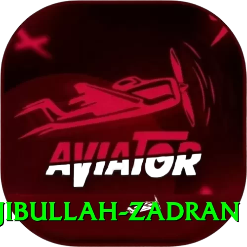 najibullah zadran Max Pro v5.4.3 - 2