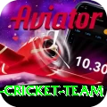 pakistan women cricket team Pro v2.5.0