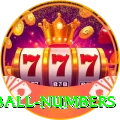powerball numbers Max Pro v2.1.9