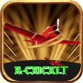 r cricket App