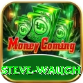 steve waugh Master v3.0.5