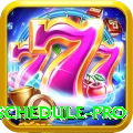 t20 match schedule Slot Machine VIP