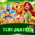 test match Plus Pro v1.3.5