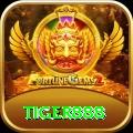 tiger888 Master v3.7.1
