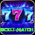 to day cricket match Premium Edition v5.1.5