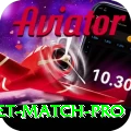 to day cricket match APK King v3.6.2