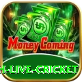 watch live cricket VIP Pro v5.4.3