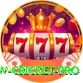 willow cricket - Max Edition v3.5.4