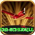 world cup t20 schedule Premium v4.8.5