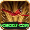 www cricket com Premium Edition v2.2.5